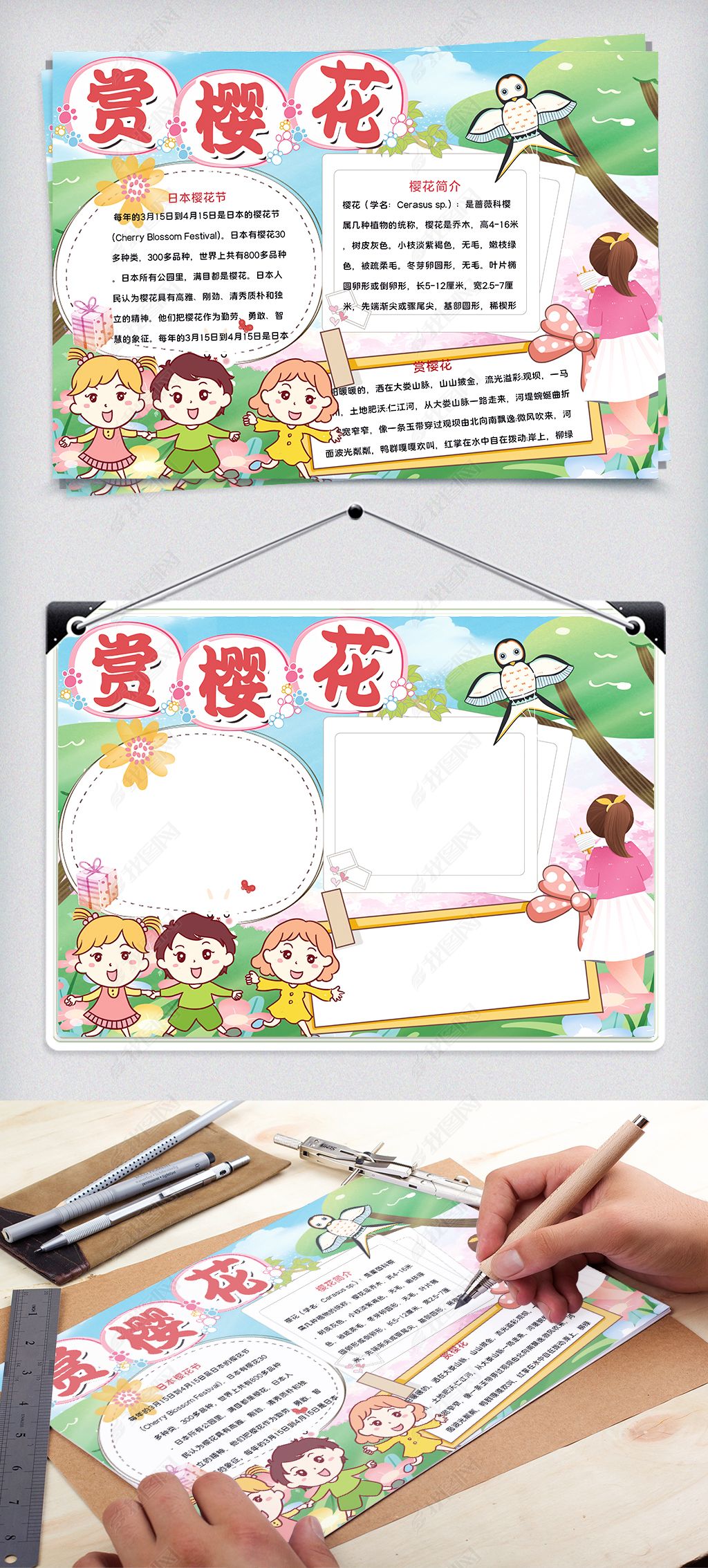 原创绿色清新樱花节手抄报-版权可商用