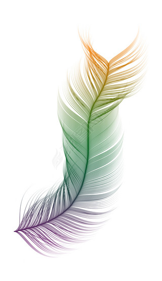 羽毛形状免扣元素