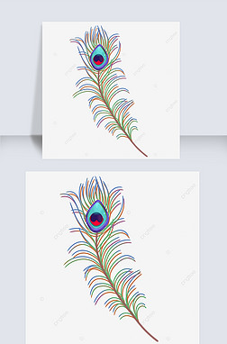 七彩炫丽孔雀羽毛剪贴画