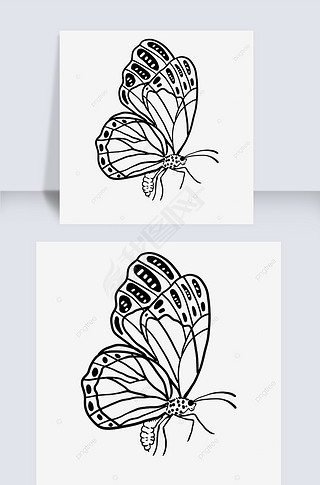 ͣڷۻƺbutterfly clipart black and white