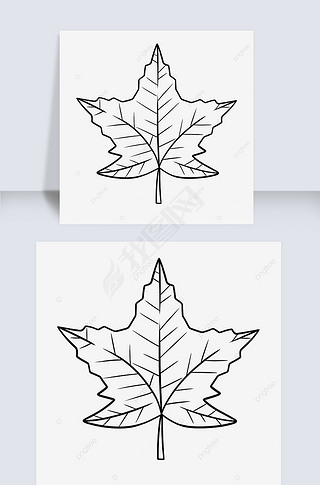 Ҷleaf black and white clipart