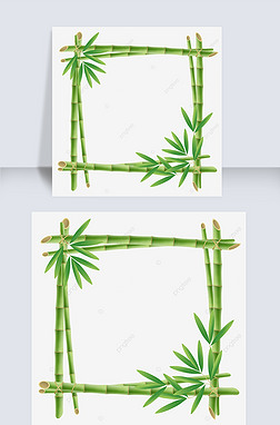 bamboo tree ʵӾ˿