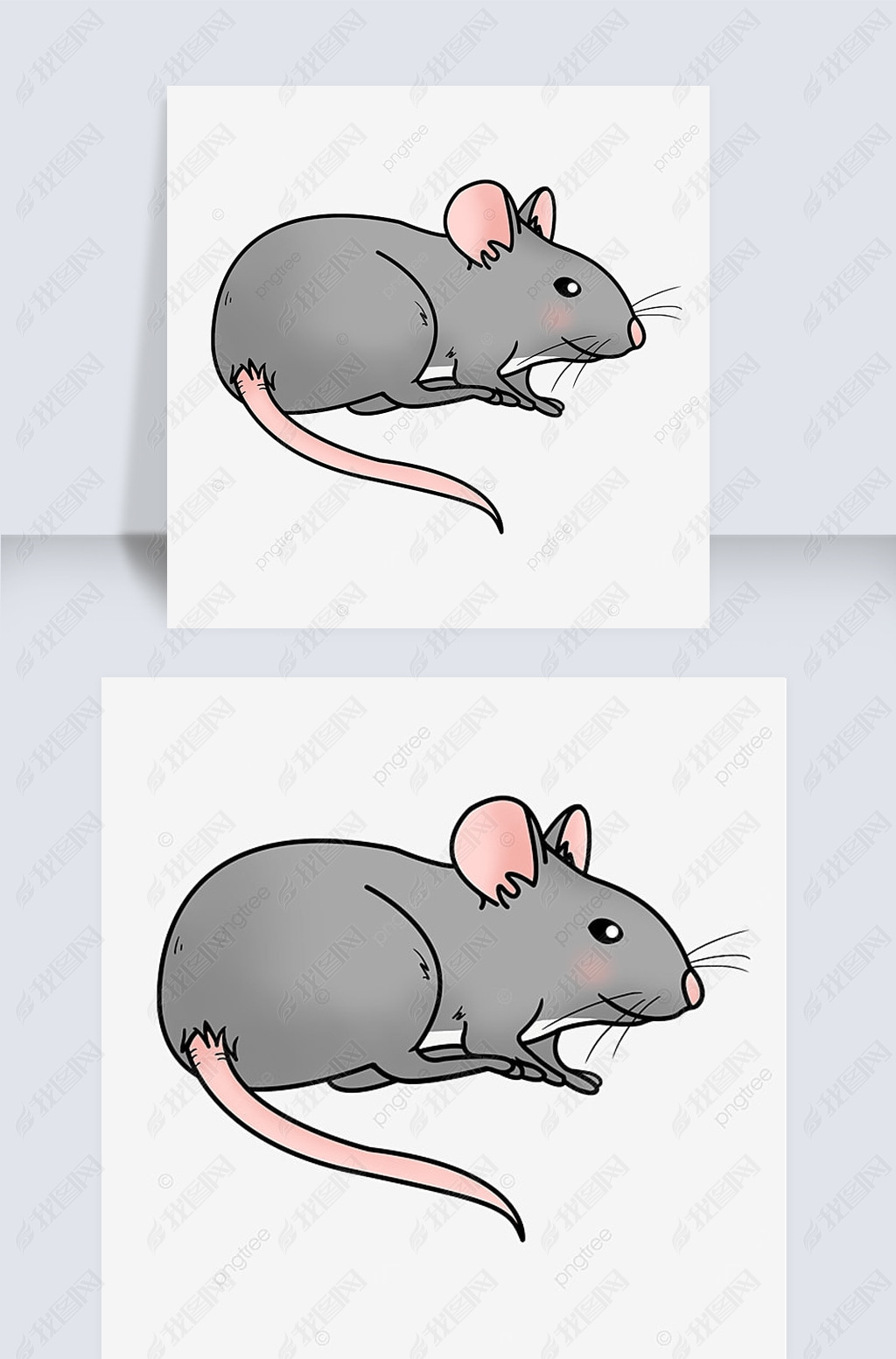 ɫɰrat clipart