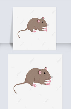 rat clipart С