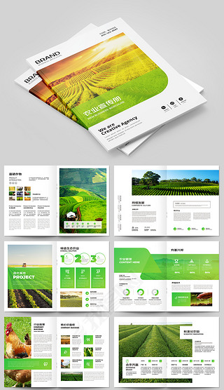 绿色农业农产品招商合作社画册宣传册AI模