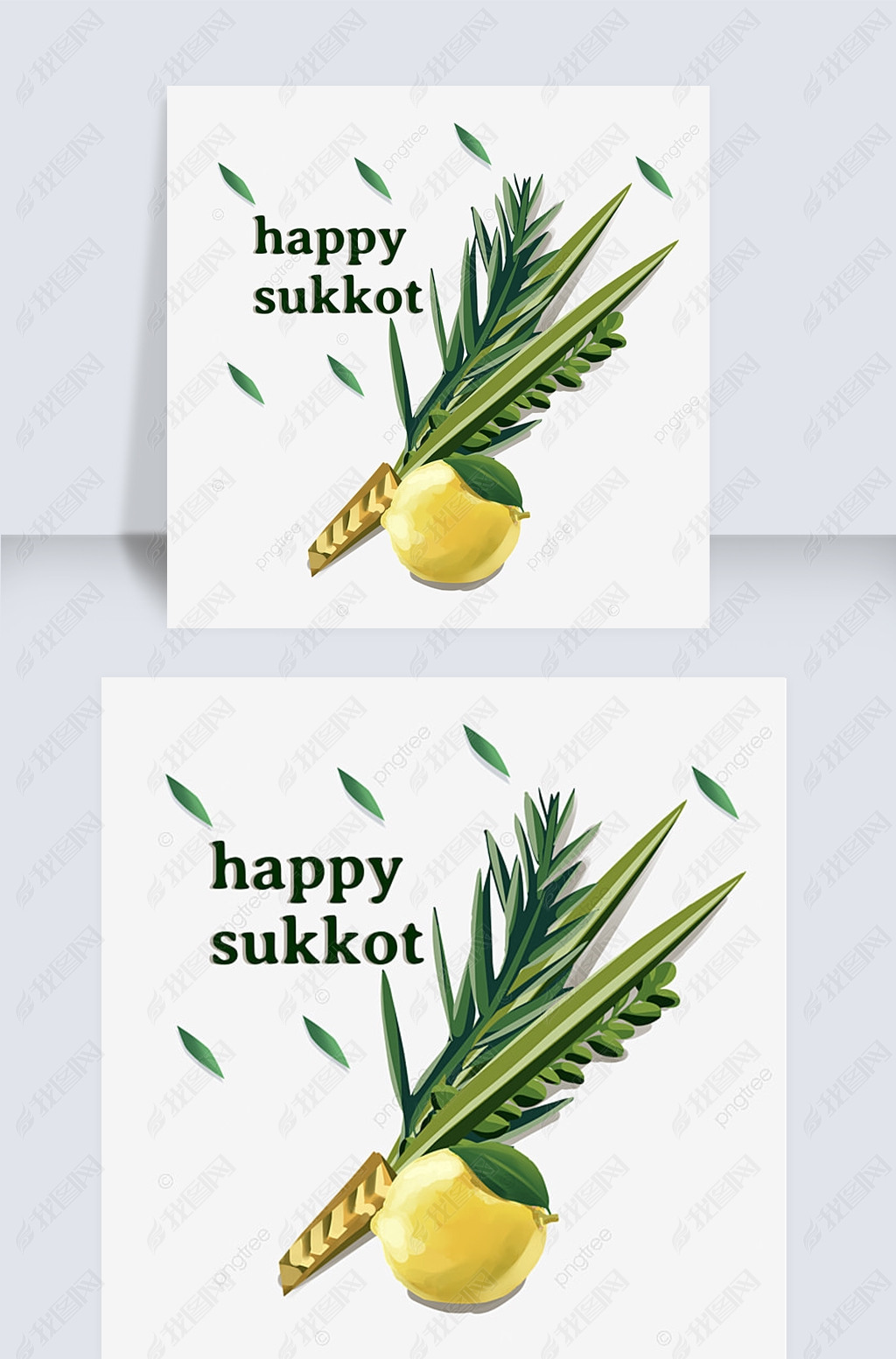 sukkotֻҶԪ