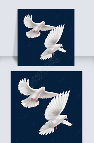 和平鸽白色专题模板-和平鸽白色图片素材下载-我图网