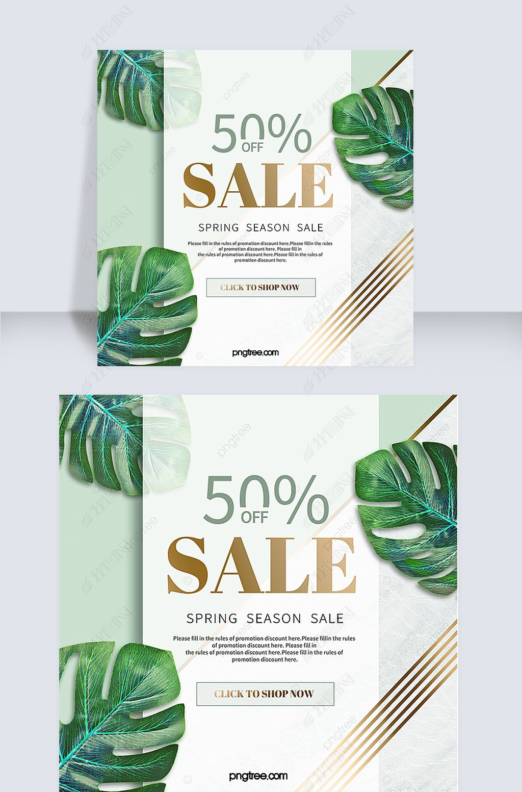 ʵǳɫʯ̽Monstera light Luxury 50 off off spring sale snsbanner