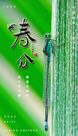 原创摄影图绿色小清新二十四节气春分海报
