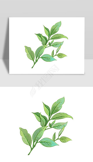 绿色茶叶装饰手绘元素