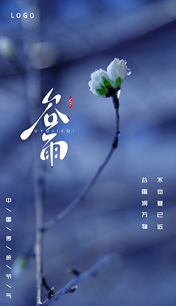 谷雨海报二十四节气24节气花朵简约摄影宣传