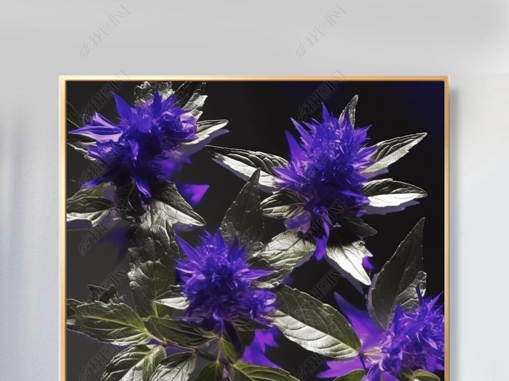 Caryopteris incana8kе