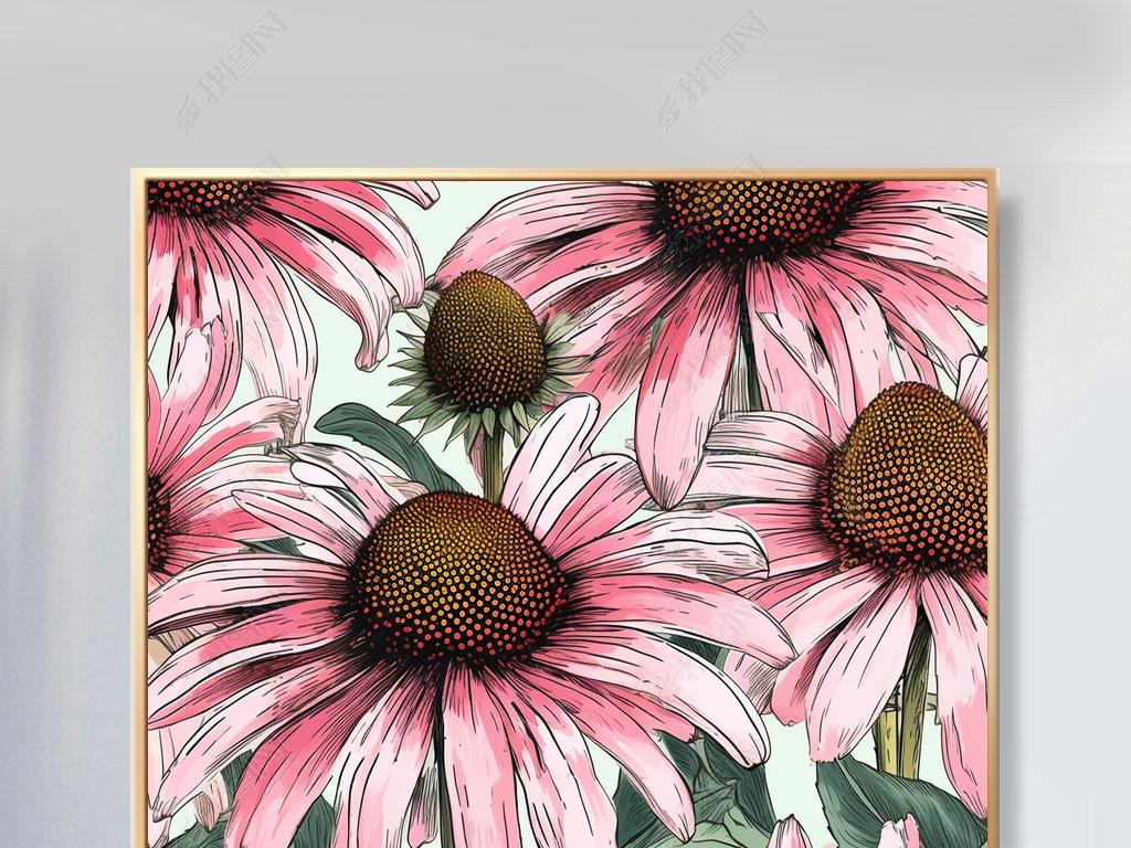 ˮʷӤͼEchinacea