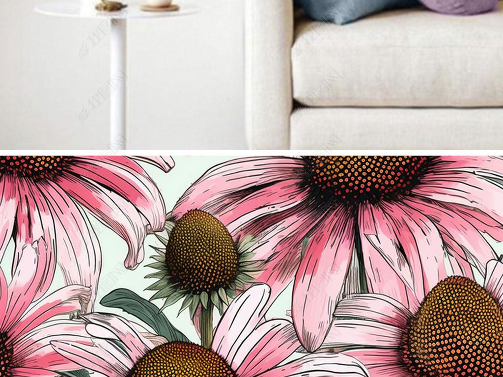 ˮʷӤͼEchinacea