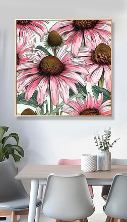 ˮʷӤͼEchinacea