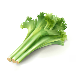 卖相精致的芹菜插画图片可爱色彩细节逼真白色背景无水印png