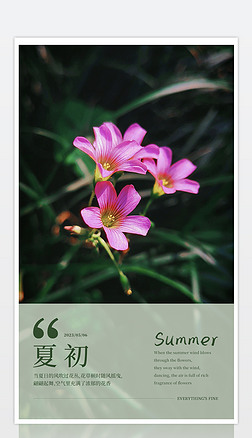 绿色清新早安签到夏天夏季花朵ins文艺海报