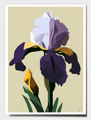 Iris Germanica гӡˢƷ廭ͼ