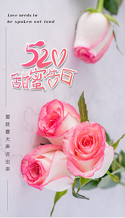 520情人节节日活动浪漫创意简约玫瑰摄影图海报