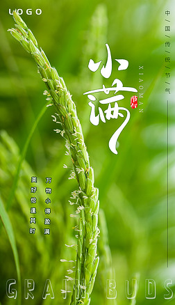 二十四节气24节气小满节气创意简约水稻穗摄影海报