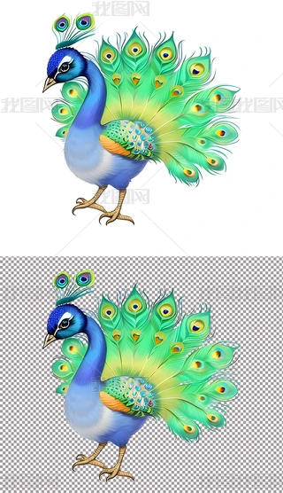 蓝孔雀绿孔雀开屏美丽的鸟儿(1)下载-编号32495651-其他-我图网
