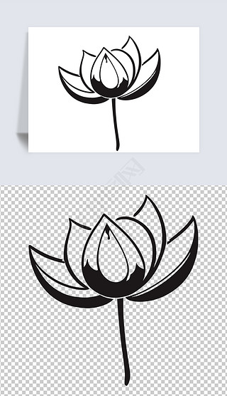 创意设计荷花莲花黑白线条插画唯美艺术临摹画1