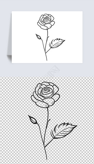 创意设计花卉植物黑白线条插画唯美艺术临摹画