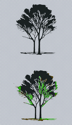 大树木一棵树木头植物(5)