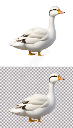 19027751427_3