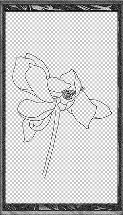 荷花手绘植物花卉插画黑白装饰线稿