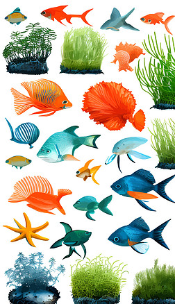 海洋生物海鱼海底风景动物海底世界12
