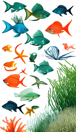 海洋生物海鱼海底风景动物海底世界14