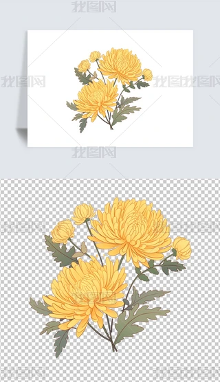 高清唯美菊花黄色小雏菊非州菊花朵花卉PNG免下载-编号23098911