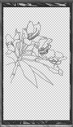 中国风手绘插画装饰线稿花卉植物线稿免扣元素