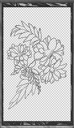 5手绘插画装饰线稿花卉植物线稿免扣元素