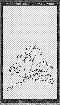 9手绘插画装饰线稿花卉植物线稿手抄报海报免扣元素