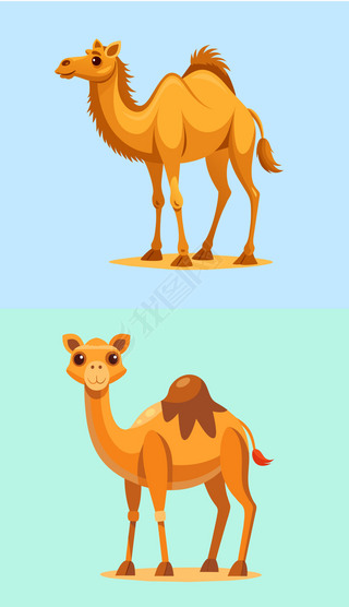 骆驼卡通专题模板-骆驼卡通图片素材下载-我图网