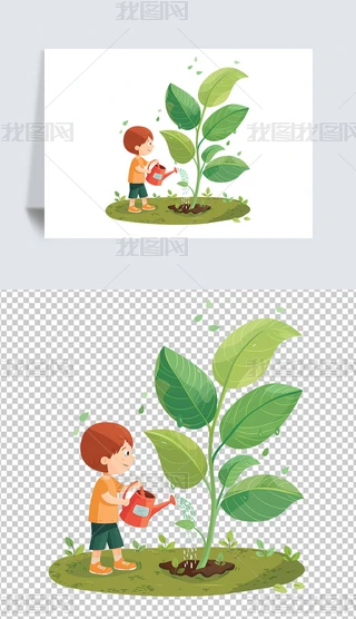 ֲ����������ˮֲ������