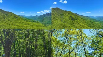 4K����ɽ���λ�Ψ���⾳ɭ�ֶྵͷ