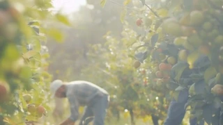 ��԰����ũ��ժ����Ц�����档