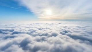 ����ƺ���һ��������������