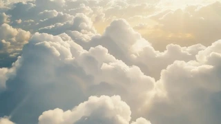 ����Ʋʣ�������Ͼ����������