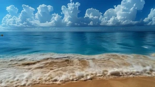 ������ƣ��̺���ɳ�����˺���