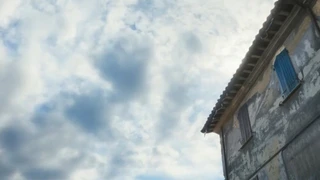 ������ƣ�������飬������ζ����ɫ����