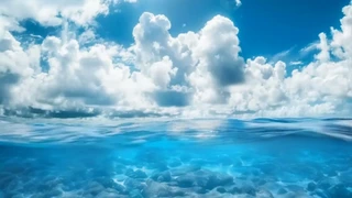 ������ƣ��������磬����������ʰ��