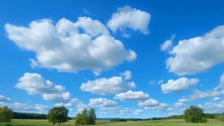 ���������԰������������ɫ����