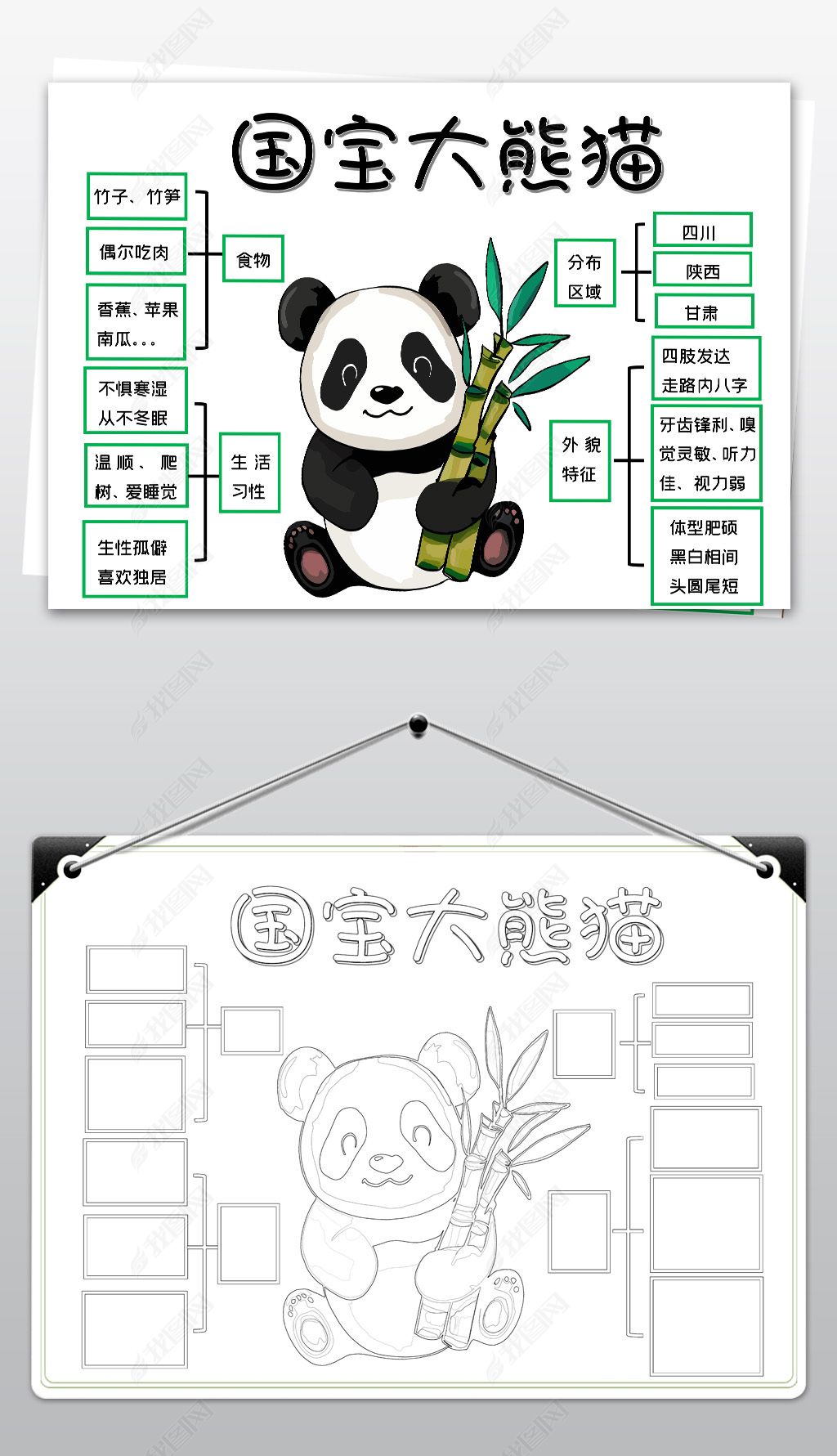 原创国宝大熊猫手抄报保护动物小报word大熊猫手抄报-版权可商用