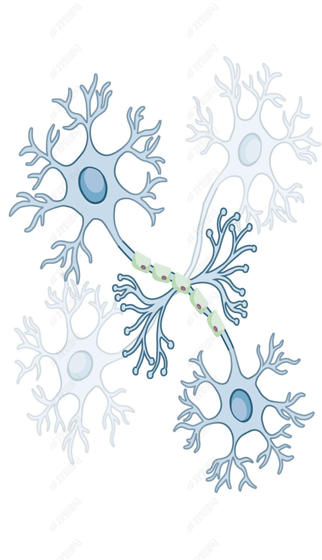 原创神经细胞插画矢量图素材版权可商用