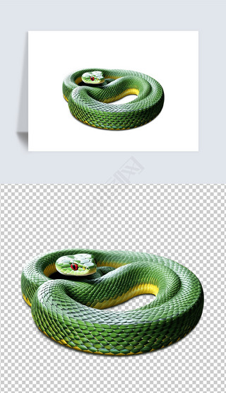 可爱绿色黄色响尾蛇插画海报免抠png透明图片素材