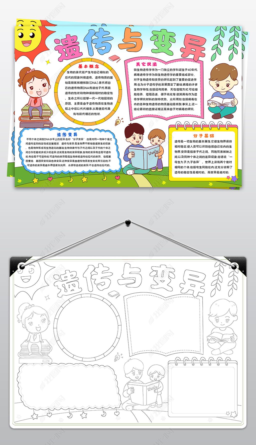 原创遗传与变异手抄报生物手抄报科学电子小报模板-版权可商用